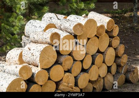 Pila di legna da ardere, senza dividere Foto Stock