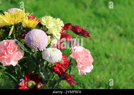 Cornice orizzontale, un mazzo colorato di garofani e crisantemi, sfondo erboso sfocato. Primo piano di fiori rossi, gialli, rosa e bianchi. Foto Stock