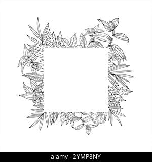 Cornice quadrata vettoriale a foglia grafica in bianco e nero con spazio vuoto per il testo. Trade scantia tropicale, palme, areca, piante di Cycas House. Illustrazione Vettoriale