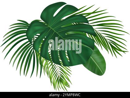 Composizione tropicale di foglie di palma verdi e realistiche. Per il design tropicale estivo con varie foglie verdi. Illustrazione vettoriale Illustrazione Vettoriale