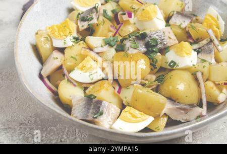 Insalata di patate con aringhe e uova, cucina scandinava, fatta in casa, niente persone Foto Stock