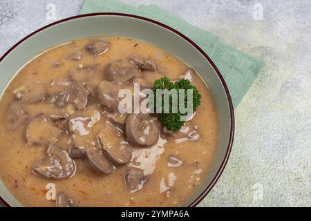 Stufato di carne, disossato, gulasch, senza contorno, fatto in casa, niente persone Foto Stock