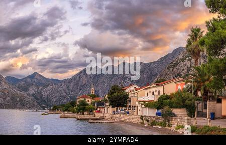 Vista mattutina di Dobrota a Cattaro, Montenegro. La foto cattura le acque calme lungo la costa, una linea di edifici con vegetazione lussureggiante e uno sfondo Foto Stock