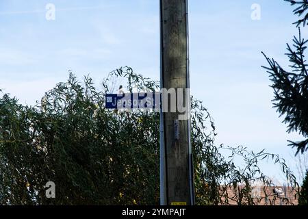 Cartello di Jepson Street a Niagara Falls, Ontario, Canada Foto Stock