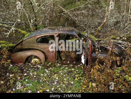 Rottami ricoperti di foreste, cimitero automobilistico di Bastnaes, Vaermland, Svezia, Europa Foto Stock