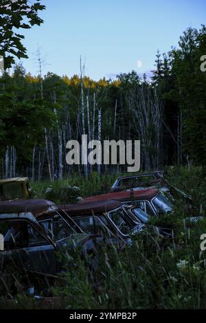 Rottami di automobili nella foresta, al chiaro di luna, di notte, del cimitero di automobili Bastnaes, Vaermland, Svezia, Europa Foto Stock