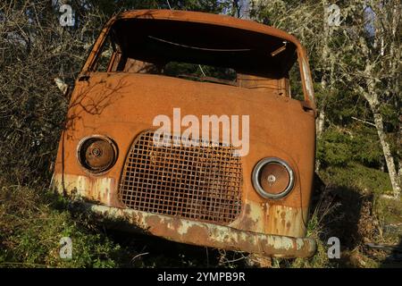 Rottami di auto, cimitero delle auto di Bastnaes, Vaermland, Svezia, Europa Foto Stock
