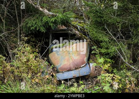 Rottami ricoperti di foreste, cimitero automobilistico di Bastnaes, Vaermland, Svezia, Europa Foto Stock