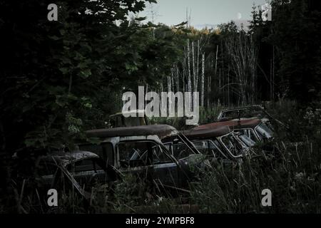 Rottami di automobili nella foresta, al chiaro di luna, di notte, del cimitero di automobili Bastnaes, Vaermland, Svezia, Europa Foto Stock