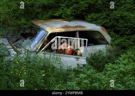 Rottami ricoperti di foreste, cimitero automobilistico di Bastnaes, Vaermland, Svezia, Europa Foto Stock