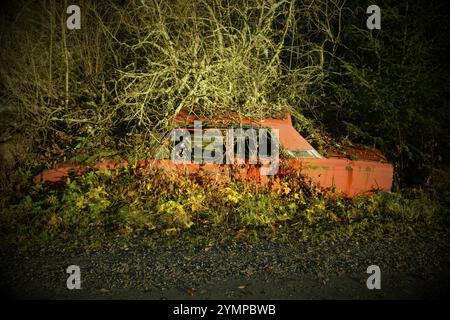 Rottami ricoperti di foreste, vignette, cimitero delle automobili di Bastnaes, Vaermland, Svezia, Europa Foto Stock