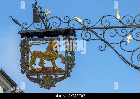 Insegna del naso con leone dorato, centro storico, lago di Bad Forest, alta Svevia, Baden-Wuerttemberg, Germania, Europa Foto Stock