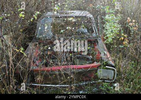Rottami ricoperti di foreste, cimitero automobilistico di Bastnaes, Vaermland, Svezia, Europa Foto Stock