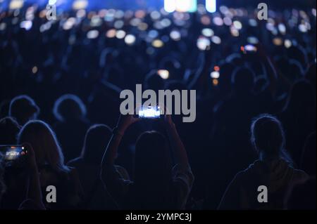 Folla di persone davanti al palco durante il concerto. Foto Stock