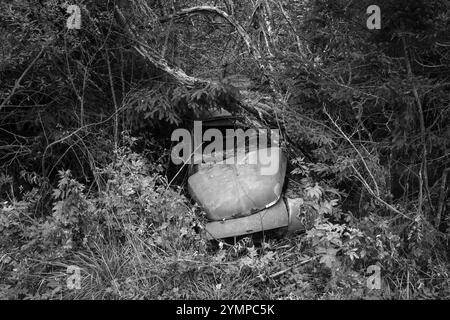 Rottami ricoperti di foreste, bianco e nero, cimitero di Bastnaes, Vaermland, Svezia, Europa Foto Stock