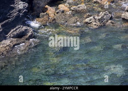 Selvaggia costa rocciosa a Trevose Head in Cornovaglia Foto Stock