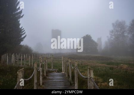 Una passerella o passerella in legno conduce attraverso una riserva naturale in fitta nebbia. Paesaggio girato in mezzo alla natura in autunno. Rovine del castello di Baldenau, M Foto Stock