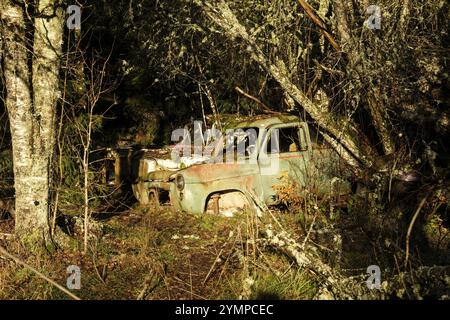 Rottami ricoperti di foreste, cimitero automobilistico di Bastnaes, Vaermland, Svezia, Europa Foto Stock