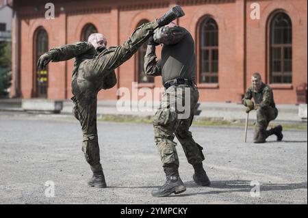 LEGNICA, POLONIA, 26 APRILE 2023: Picnic militare come parte del programma Cyber MIL Academy. Spettacolo di arti marziali mano a mano di soldati Foto Stock