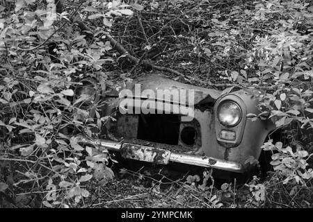 Rottami ricoperti di foreste, bianco e nero, cimitero di Bastnaes, Vaermland, Svezia, Europa Foto Stock