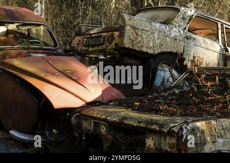 Rottami, cimitero delle auto di Bastnaes, Vaermland, Svezia, Europa Foto Stock