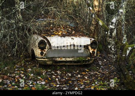 Rottami ricoperti di foreste, cimitero automobilistico di Bastnaes, Vaermland, Svezia, Europa Foto Stock