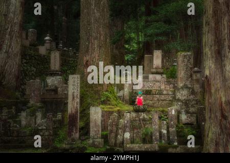 Cimitero Odo-in a Koyasan Giappone Foto Stock