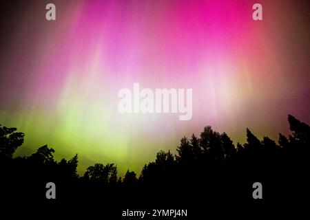 Forte aurora boreale sopra la foresta. Tempesta geomagnetica e paesaggio notturno. Foto Stock