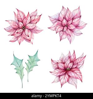 Set natalizio - Acquerello rosso fiori di punta con foglie. illustrazione disegnata a mano per la progettazione, la stampa e i biglietti d'auguri Foto Stock