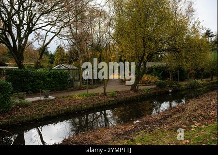 Colori autunnali al parco cittadino Volkstuinbeweging di Amsterdam, Paesi Bassi, 14 novembre 2024 Foto Stock