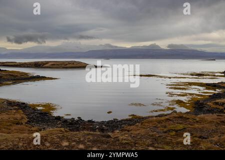 Acque calme del fiordo Hvammsfjordur. Pietre vulcaniche e rocce sul costo, insieme all'erba gialla autunnale. Cielo autunnale nuvoloso. Snaefellsnes, ovest Foto Stock