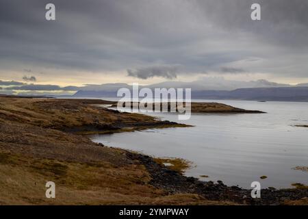 Acque calme del fiordo Hvammsfjordur. Pietre vulcaniche e rocce sul costo, insieme all'erba gialla autunnale. Cielo autunnale nuvoloso. Snaefellsnes, ovest Foto Stock