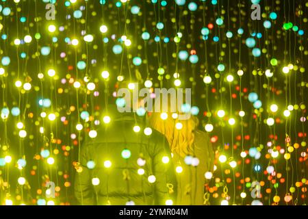 Giardino di Natale Dresda es ist die schönste Zeit des Jahres, wenn der funkelnde abendliche Rundweg Dresdens berühmtes Schloss & Park Pillnitz endlich wieder erleuchtet. Nun bereits im vierten Jahr nimmt der winterliche Spaziergang eine neue magische Route mit ganz anderen Lichterwelten, die auch unsere Besucher aus den vergangenen Jahren immer wieder neu überraschen. Dresda Sachsen Deutschland *** Giardino di Natale Dresda è il periodo più bello dell'anno in cui il sentiero serale scintillante illumina il famoso parco del Palazzo di Pillnitz di Dresda, ora al suo quarto anno, il wal invernale Foto Stock