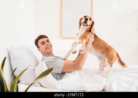 Giovane a letto che gioca con l'adorabile cane Beagle a casa Foto Stock