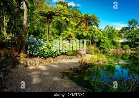 Maleny, QLD, Australia - Vecchio trattore con le montagne Glasshouse sullo sfondo Foto Stock