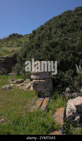 Resti di antiche mura e strutture del kerkouane patrimonio dell'umanità dell'unesco a Oristano, in Sardegna, Italia Foto Stock