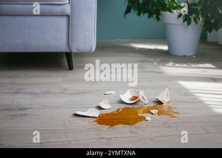 Una tazza di caffè rotta è caduta sul laminato e il caffè è versato sul pavimento. Foto Stock
