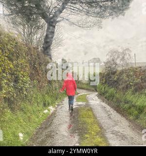 Dunsford, Devon, Regno Unito. Sabato 23 novembre 2024. Meteo nel Regno Unito: Tempesta Bert cammina sotto la pioggia a Dunsford, Teign Valley, Devon. Crediti: Nidpor/Alamy Live News Foto Stock