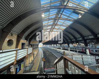 Il tetto e le piattaforme della storica stazione di york nello yorkshire, inghilterra, Regno Unito Foto Stock