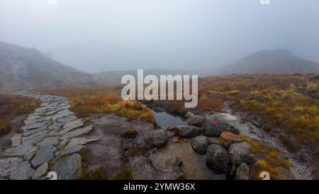 Un paesaggio nebbioso con un sentiero in pietra che conduce attraverso un terreno arido e erboso. La scena è avvolta dalla nebbia, creando un'atmosfera misteriosa e serena Foto Stock