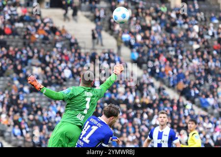 Berlino, Germania. 23 novembre 2024. Niclas Thiede (SSV Ulm 1846, n. 1) GER, Hertha BSC gegen SSV Ulm 1846, Fussball, 2. Bundesliga, Saison 2024/2025, 13. SPIELTAG, 23.11.2024 (LE NORMATIVE DFL VIETANO QUALSIASI USO DI FOTOGRAFIE COME SEQUENZE DI IMMAGINI E/O QUASI-VIDEO). Foto: Eibner-Pressefoto/Ryan Sleiman credito: dpa/Alamy Live News Foto Stock