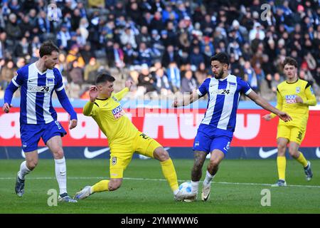 Semir Telalovic (SSV Ulm 1846, #29) und Kevin Sessa (Hertha BSC Berlin, #8) GER, Hertha BSC gegen SSV Ulm 1846, Fussball, 2. Bundesliga, Saison 2024/2025, 13. SPIELTAG, 23.11.2024 (LE NORMATIVE DFL VIETANO QUALSIASI USO DI FOTOGRAFIE COME SEQUENZE DI IMMAGINI E/O QUASI-VIDEO). Foto: Eibner-Pressefoto/Ryan Sleiman Foto Stock