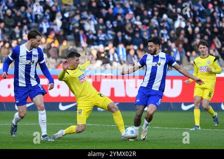 Berlino, Germania. 23 novembre 2024. Semir Telalovic (SSV Ulm 1846, #29) und Kevin Sessa (Hertha BSC Berlin, #8) GER, Hertha BSC gegen SSV Ulm 1846, Fussball, 2. Bundesliga, Saison 2024/2025, 13. SPIELTAG, 23.11.2024 (LE NORMATIVE DFL VIETANO QUALSIASI USO DI FOTOGRAFIE COME SEQUENZE DI IMMAGINI E/O QUASI-VIDEO). Foto: Eibner-Pressefoto/Ryan Sleiman credito: dpa/Alamy Live News Foto Stock