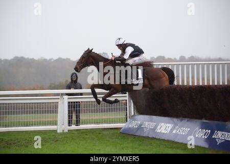 Ascot, Berkshire, Regno Unito. 23 novembre 2024. Il MARTATOR guidato dal fantino Ned Fox si aggiudica l'ultimo prima di vincere il Lay & Wheeler Hurst Park handicap Steeple Chase (Classe 2) (GBB Race) all'Ascot Racecourse nel Berkshire al Copybet di sabato novembre. Proprietaria Camilla Norton, Trainer Ventia Williams, Hereford, allevatore Mr H Des Set Gauburge, Sponsor Faucets Limited. Crediti: Maureen McLean/Alamy Live News Foto Stock