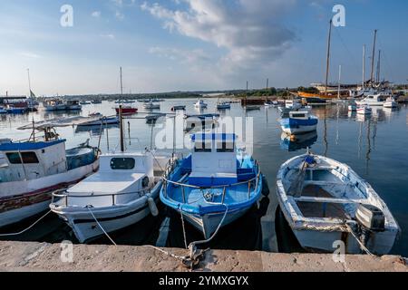 Barche da pesca nel porto turistico di Porto Portopalo vicino alla città di Portopalo di Capo Passero in Sicilia, Italia. Crediti fotografici: Sam Mellish Foto Stock