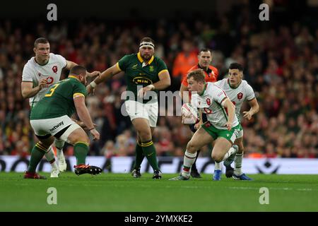 Cardiff, Regno Unito. 23 novembre 2024. Sam Costelow del Galles fa una pausa. Galles contro Sud Africa, 2024 partita della serie delle Nazioni autunnali al Principality Stadium di Cardiff sabato 23 novembre 2024. foto di Andrew Orchard/Andrew Orchard Sports Photography/ Alamy Live News Credit: Andrew Orchard Sports Photography/Alamy Live News Foto Stock