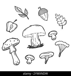 Il doodle autunnale si trova su uno sfondo bianco. Illustrazione vettoriale in bianco e nero di un insieme autunnale di ghiande, foglie e funghi. Oggetti isolati Illustrazione Vettoriale