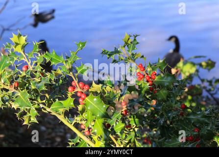 Hollow Pond, noto anche come Leyton Flats, frammento di Epping Forest nel nord di Leytonstone, ne Londra, Regno Unito Foto Stock