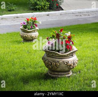 Bella pentola di fiori che decorano prato Foto Stock