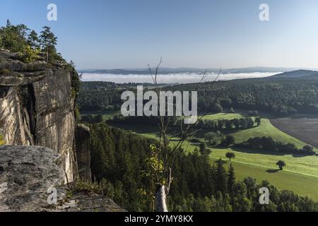 Atmosfera mattutina con nebbia nelle montagne di arenaria dell'Elba Foto Stock